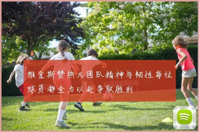 维金斯赞热火团队精神与韧性每位球员都全力以赴争取胜利