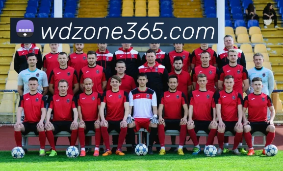 App Interface Preview